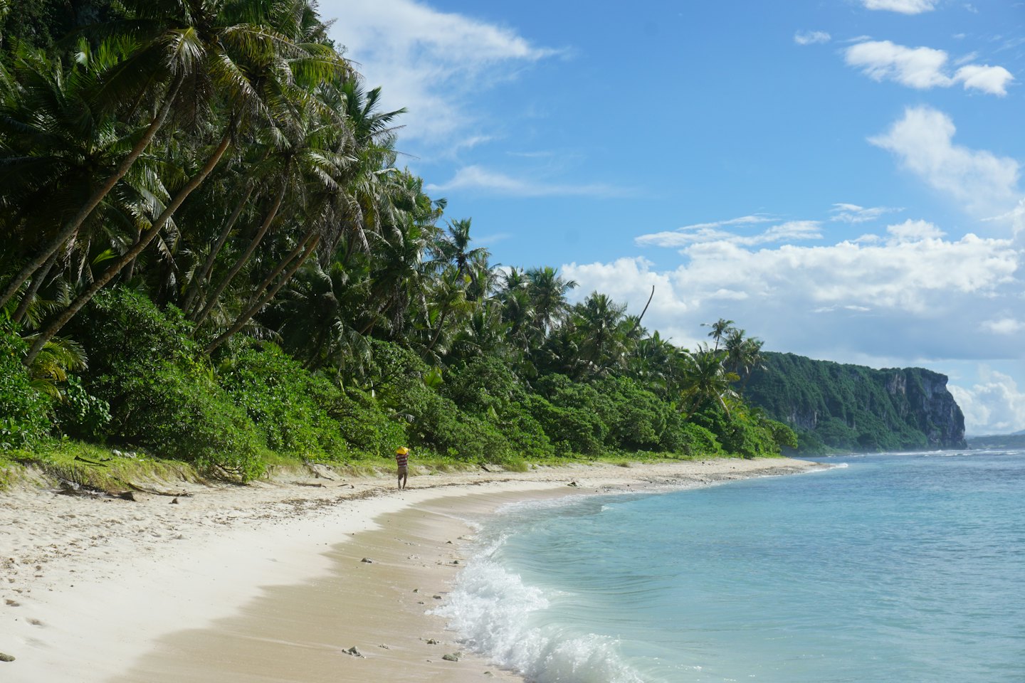 Une personne marchant sur une plage de sable blanc avec des palmiers.