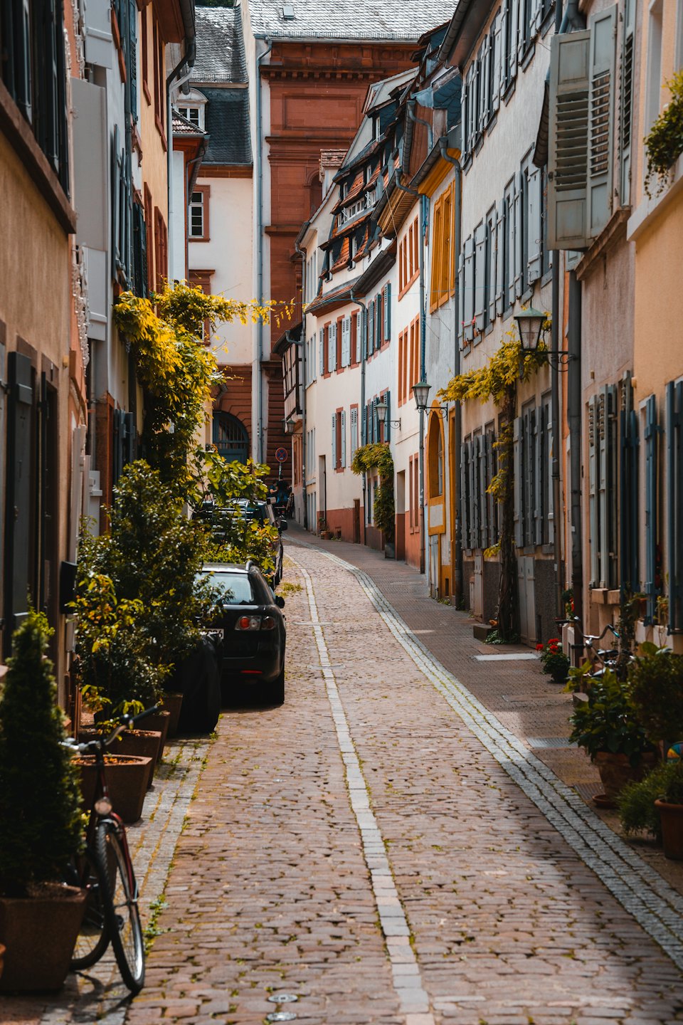 Rue pavée sinueuse dans la vieille ville avec des bâtiments colorés.