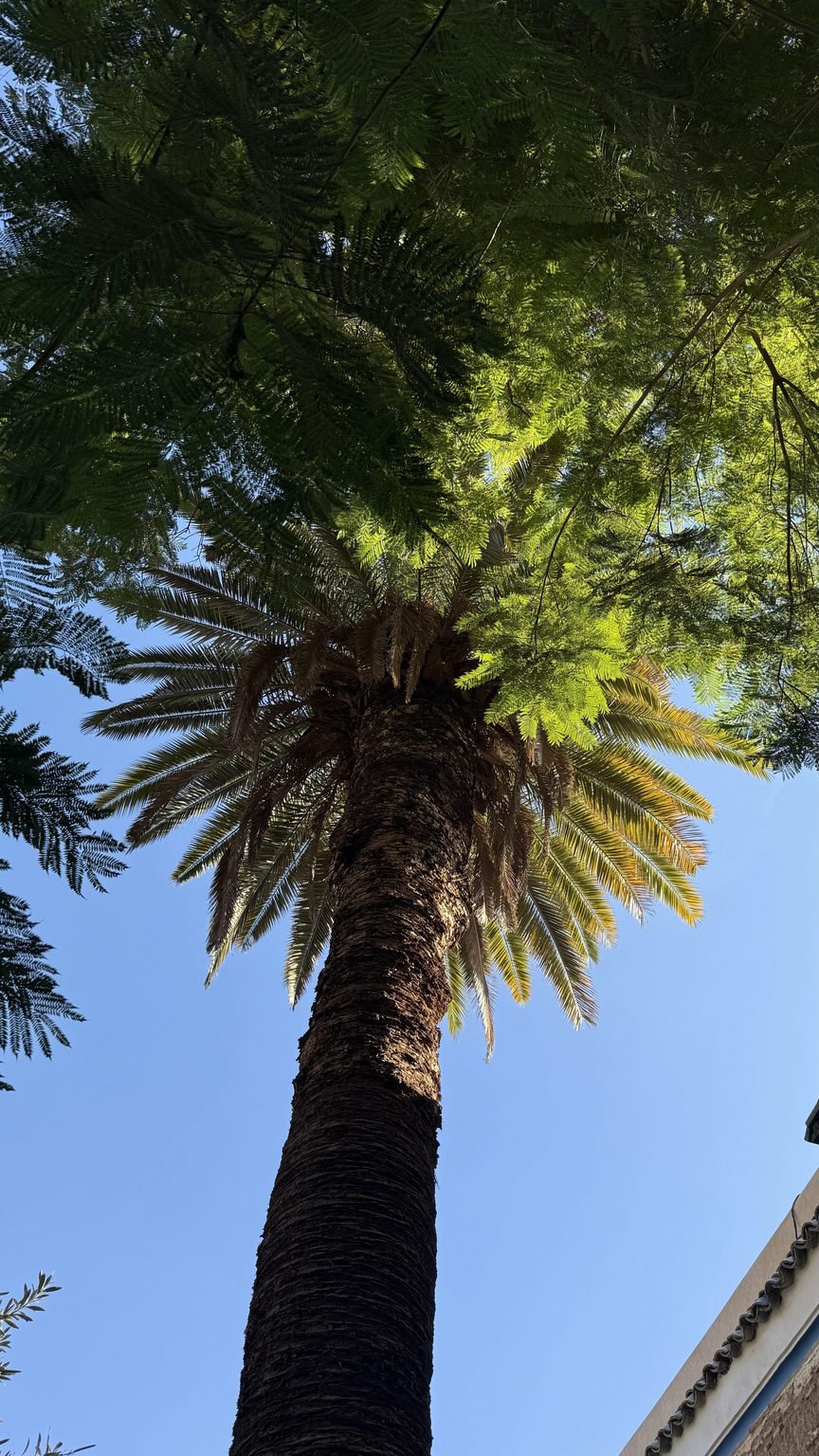 Paysage du Maroc