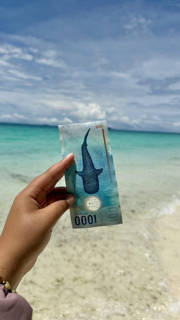 Billet de 1000 rufiyaa avec un requin-baleine, la monnaie des îles locales des Maldives