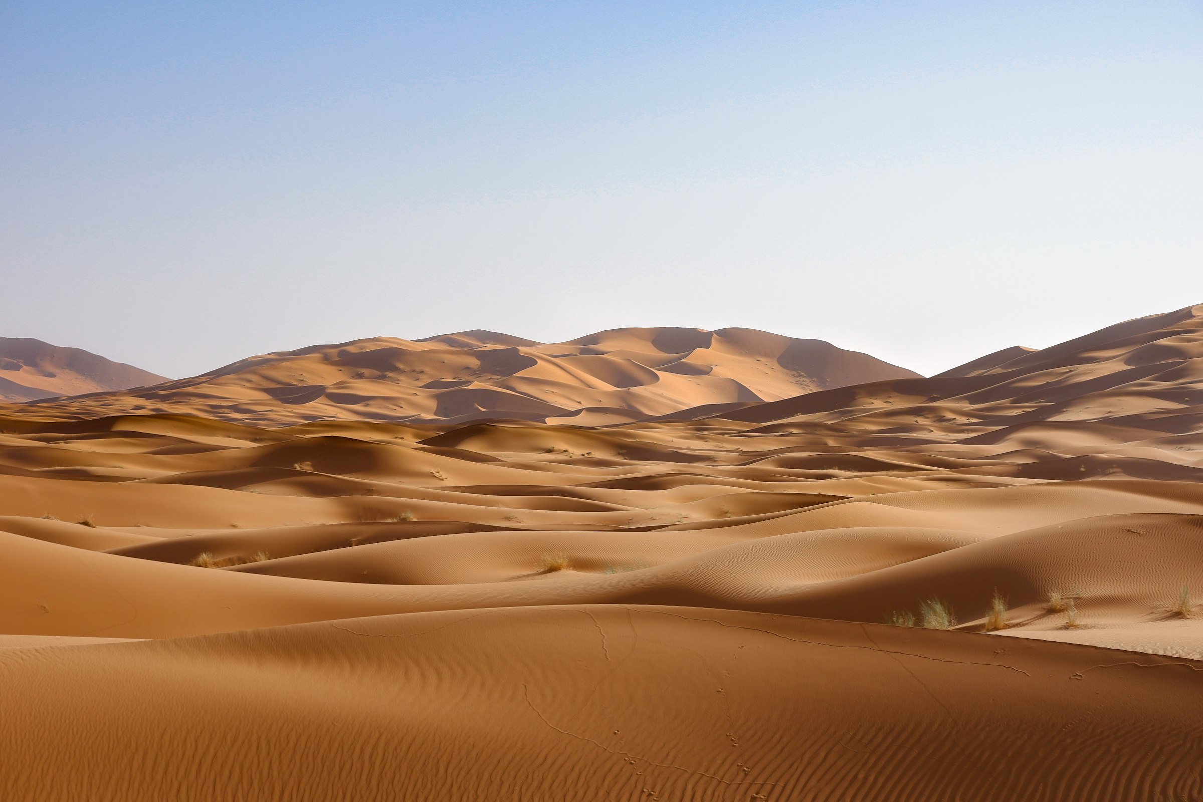 Dunes de sable dorées à perte de vue dans le désert marocain