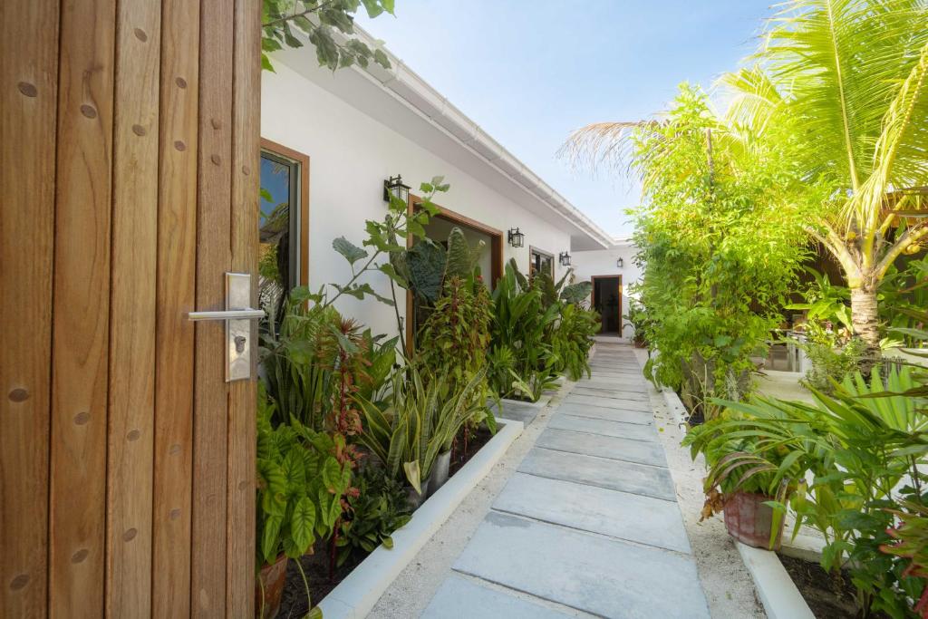 Allée bordée de plantes tropicales à Oasis Dhigurah