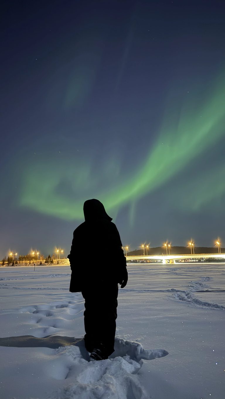 Silhouette face aux aurores boréales au bord du lac à Rovaniemi