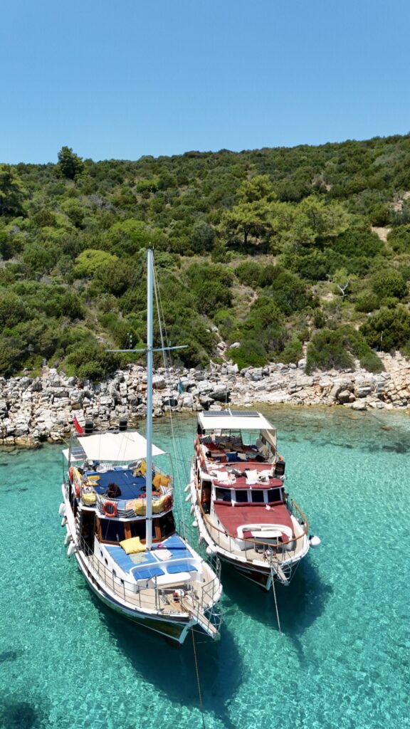 Bateaux d'excursion dans l'eau cristalline de l'île d'Orak, Bodrum