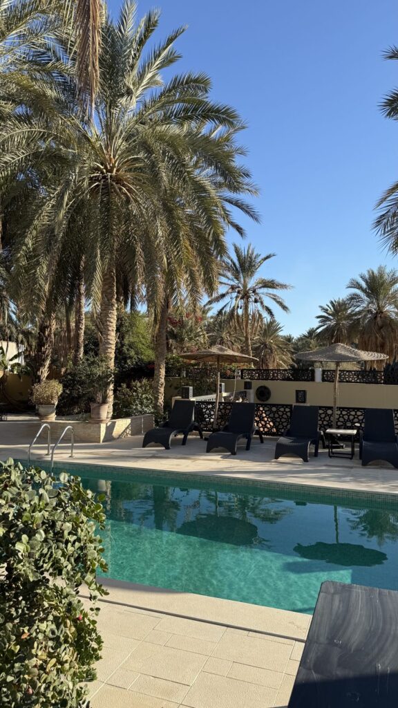 Piscine au cœur de la palmeraie, Dar Yomma, Tozeur