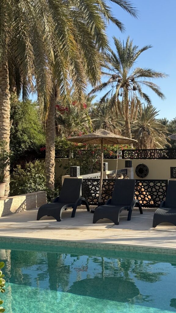 Piscine et transats sous les palmiers, Dar Yomma, Tozeur