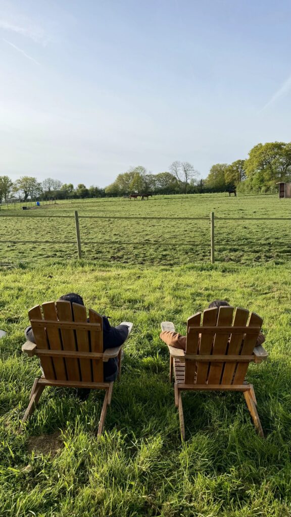 Détente dans des chaises Adirondack en bois avec vue sur les chevaux au pré