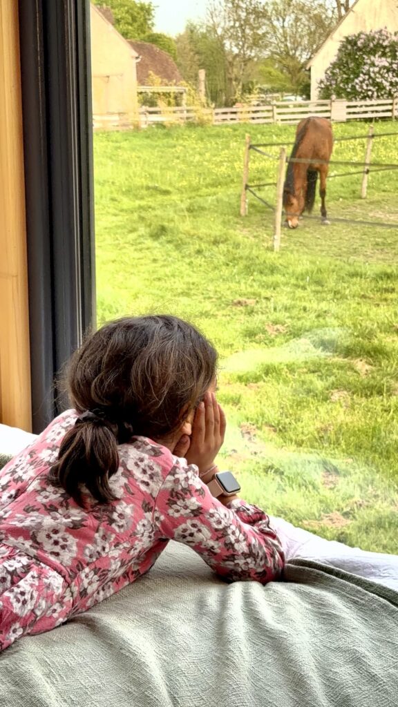 Enfant allongé sur le lit regardant un cheval brouter par la fenêtre de la tiny house