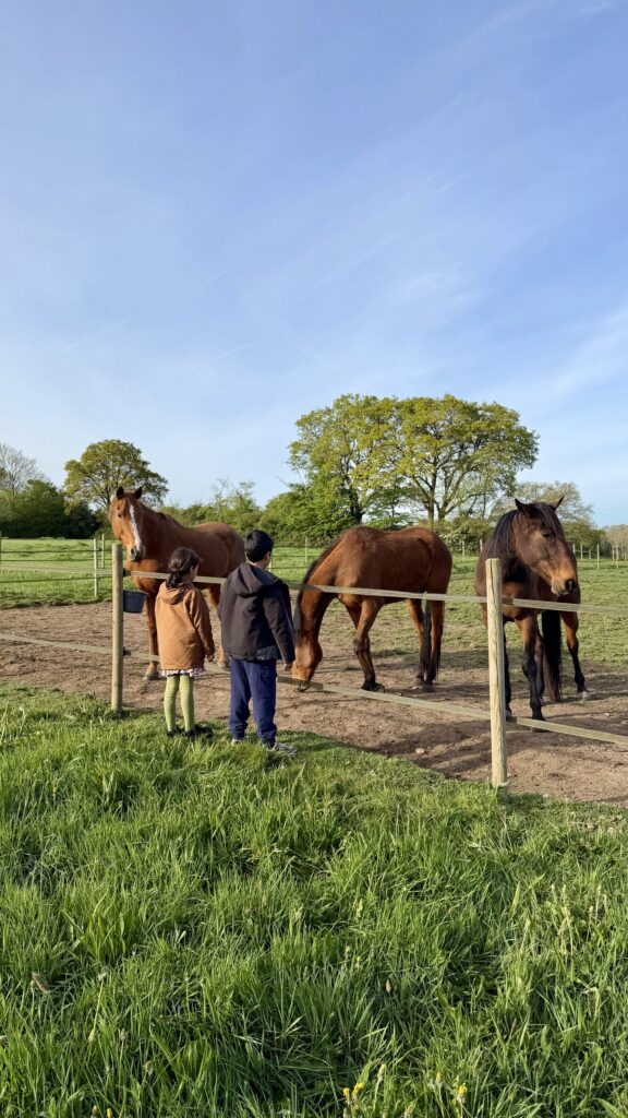 Enfant près des chevaux dans le pré voisin de la tiny house