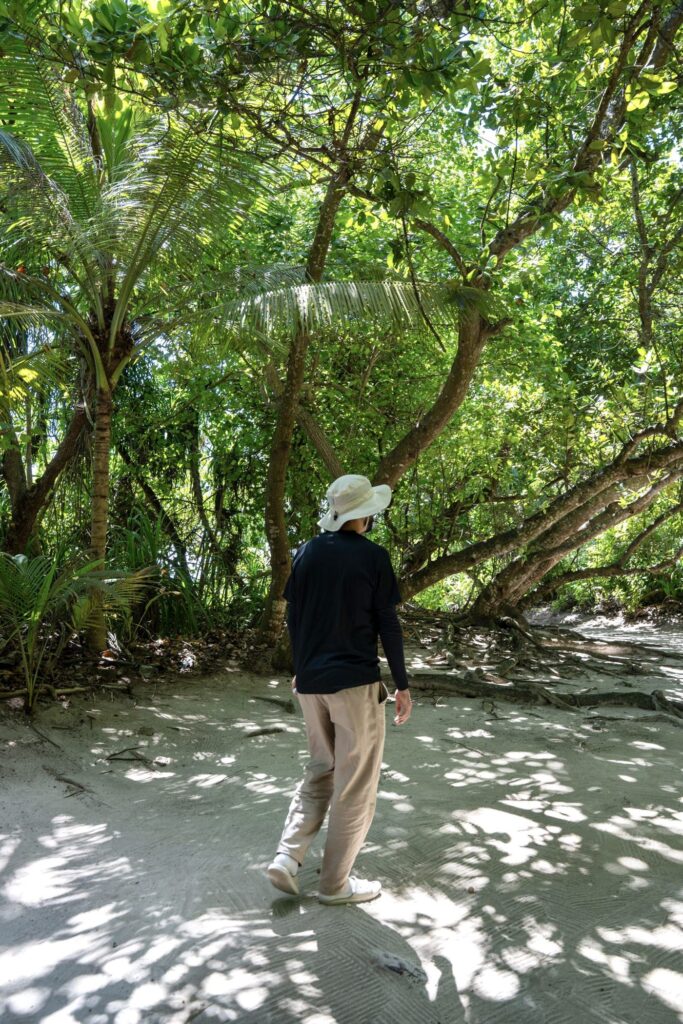 Balade sur un sentier de sable ombragé dans la jungle de Maalhos aux Maldives