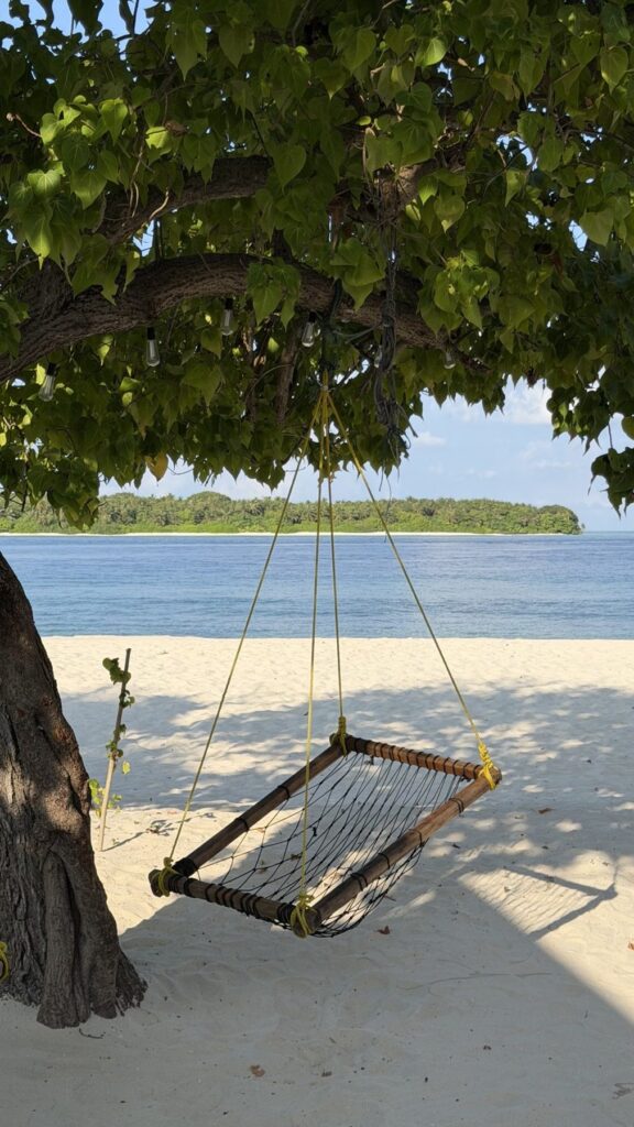 Balançoire suspendue à un arbre sur une plage de sable blanc à Maalhos aux Maldives