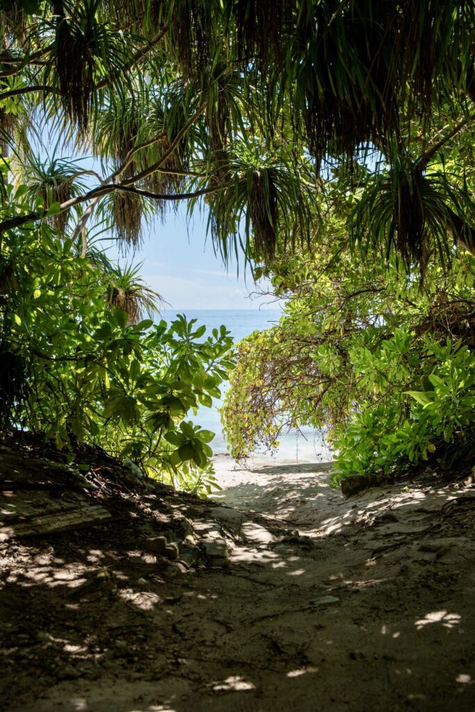 Sentier de la jungle qui débouche sur le lagon à Maalhos aux Maldives