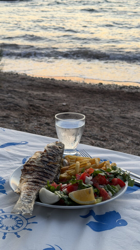 Plat de poisson et salade servi en bord de mer au restaurant Deniz, Bodrum