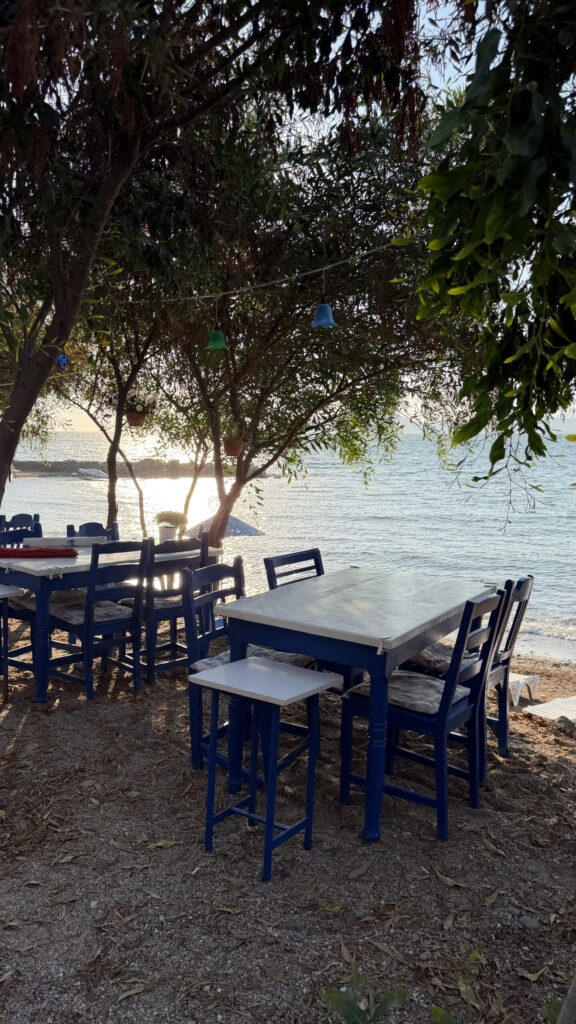 Terrasse ombragée avec tables et chaises bleues au restaurant Deniz, Bodrum