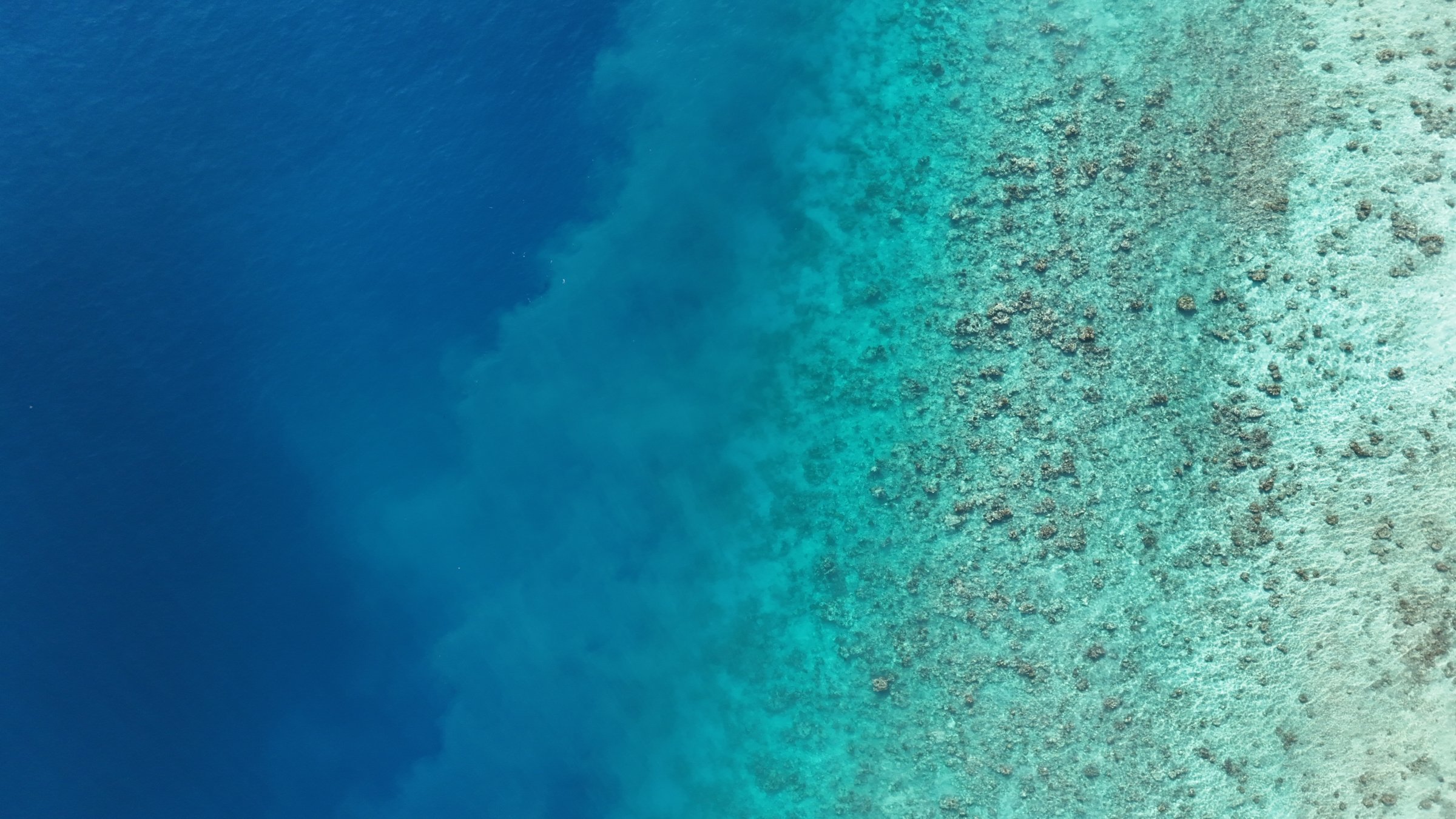 Maldives îles locales : tout savoir avant de partir