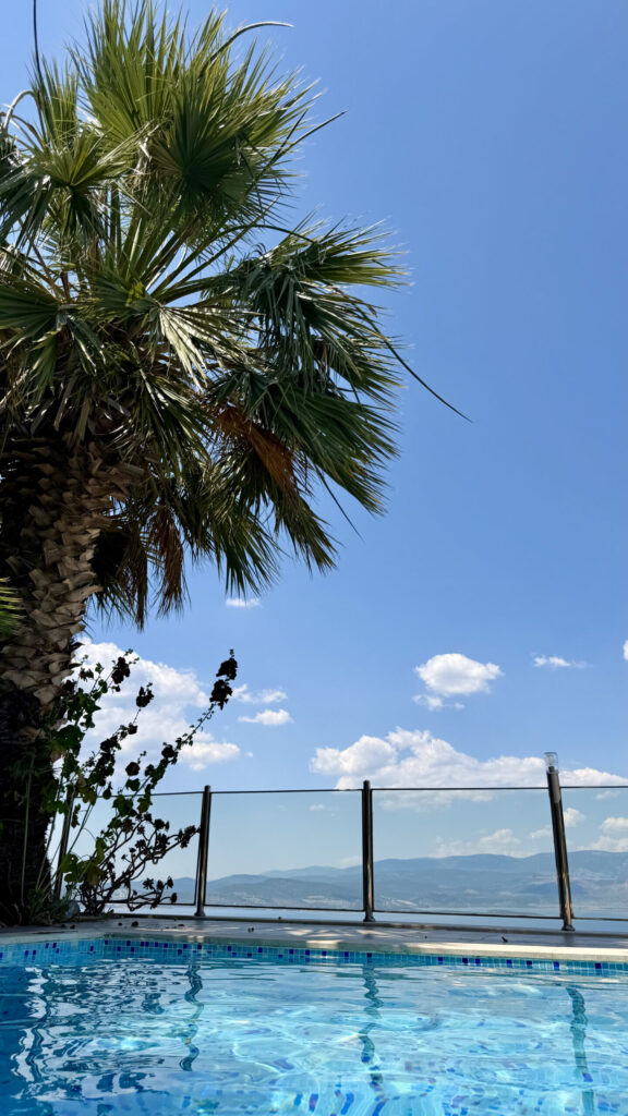 Vue sur la mer et un palmier depuis la Villa Selen à Bodrum